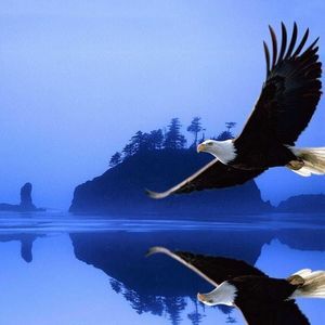 Meet your Posher, Rocio